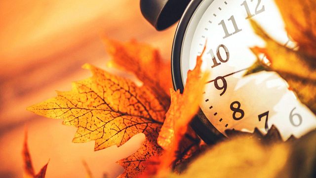 © istockphoto