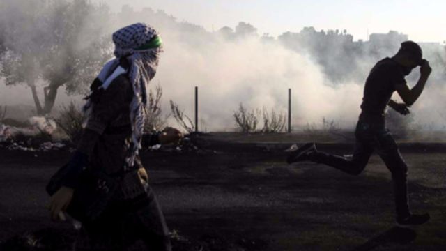 © -afp | 
   