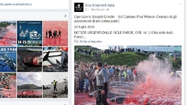 © facebook | 
   