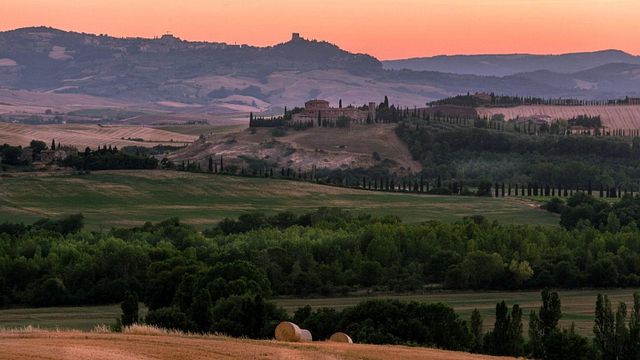 © tripadvisor
