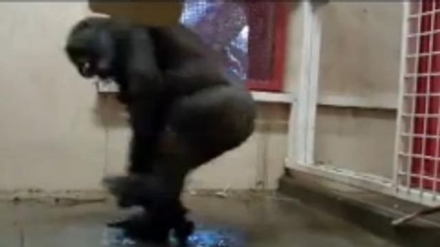 © Da video