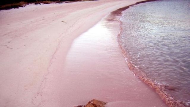 © dal-web | 
      La fantastica spiaggia di Budelli
   