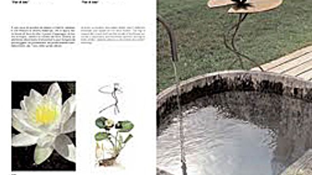 © Ufficio stampa | Contempoary Landscape 