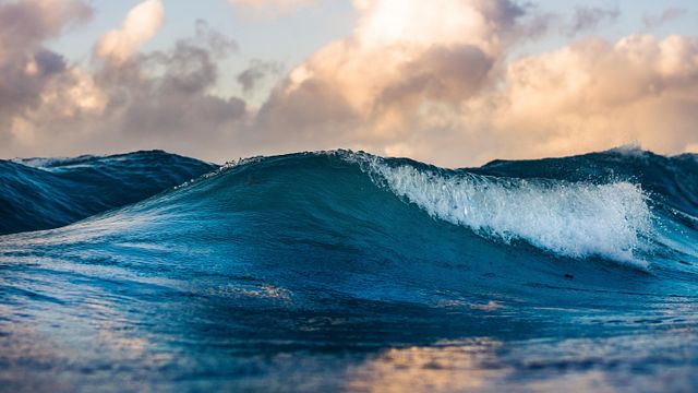© Unsplash