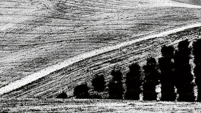 © Ufficio stampa