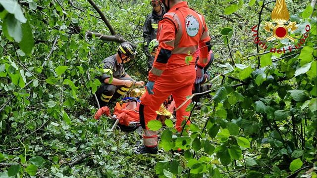 © Ansa |  Pianta cade su escursionisti per il temporale nel Comasco