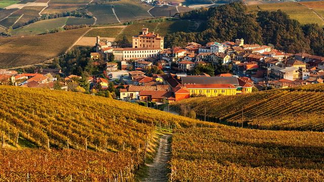 © Istockphoto |  Barolo, Piemonte