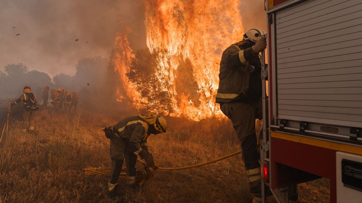 © Afp - Incendio a Zamora, nella regione di Castiglia e León