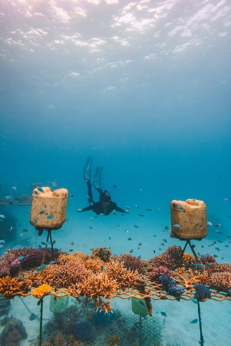 © Ente del Turismo  | Great Barrier Reef - Hero Image - ph TTNQ