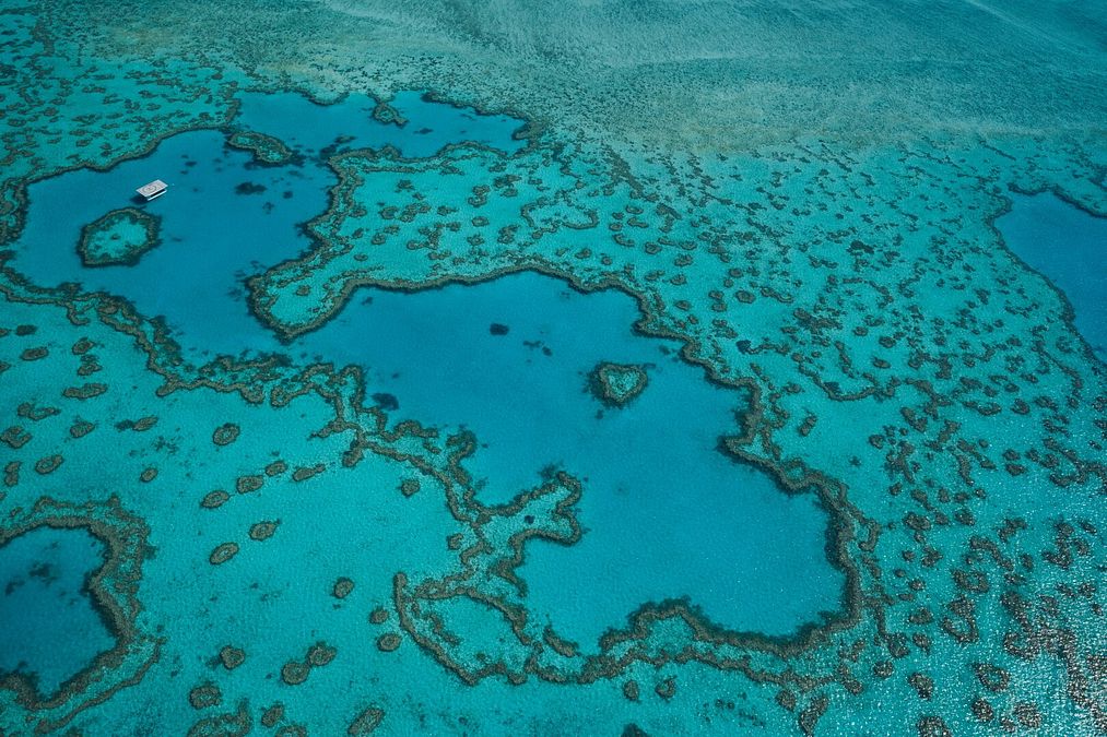 © Ente del Turismo  | Great Barrier Reef - Hero Image - ph TTNQ