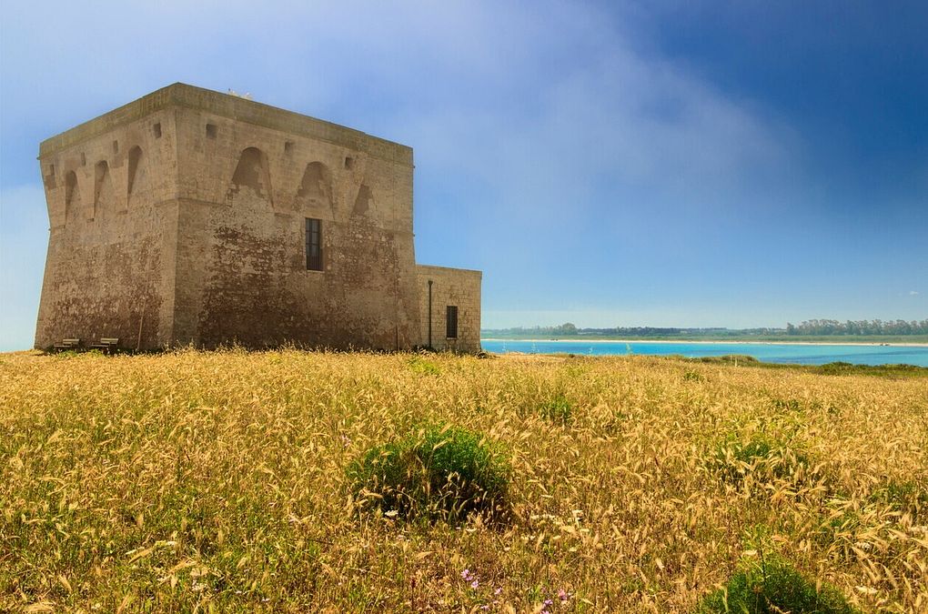 © Istockphoto  |  Oasi di Torre Guaceto: la torre Saracena