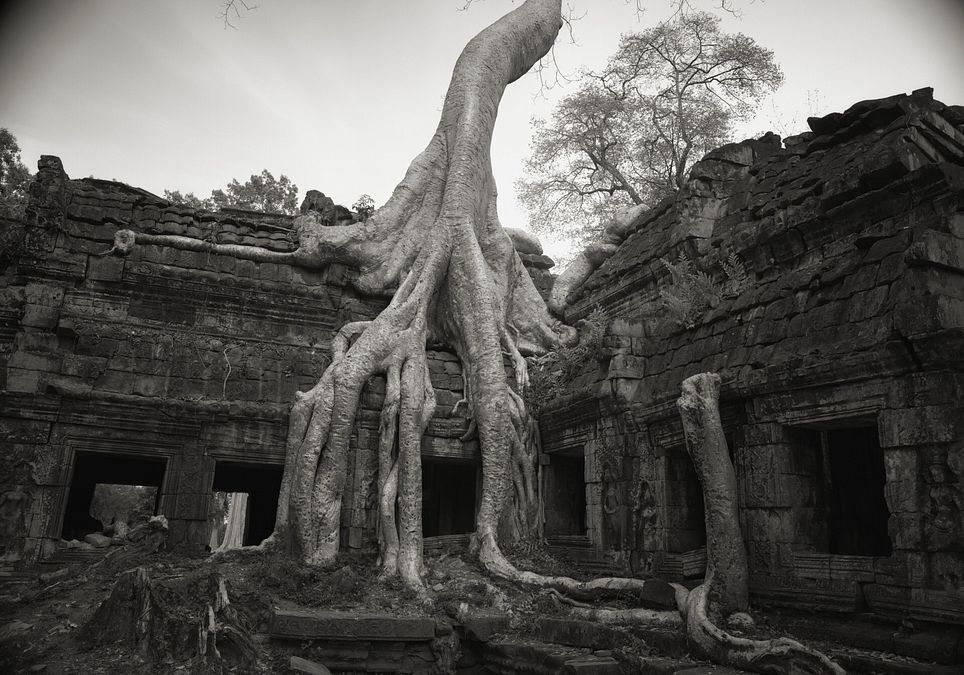 © Ufficio stampa  | Angkor, Cambodia, 1993 - ph Kenro Izu