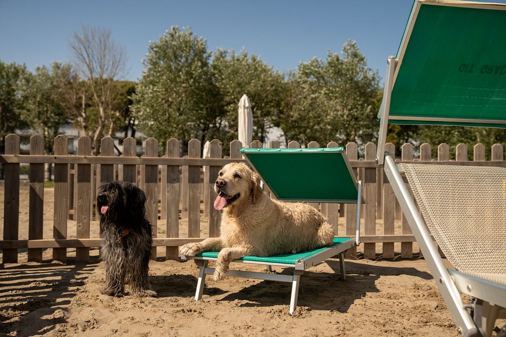 © Ente del Turismo  | Spiaggia dedicata ai cani a Grado - ph Benjamin Bilkic