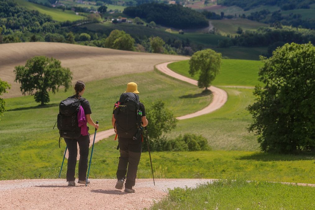 © Ufficio stampa  | Collina dei ciliegi - Comune di San Severino Marche 