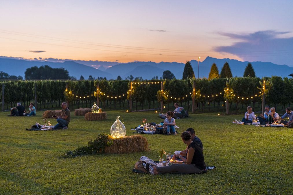 © Ente del Turismo  | Pic nic in vigna - ph Fabrice Gallina