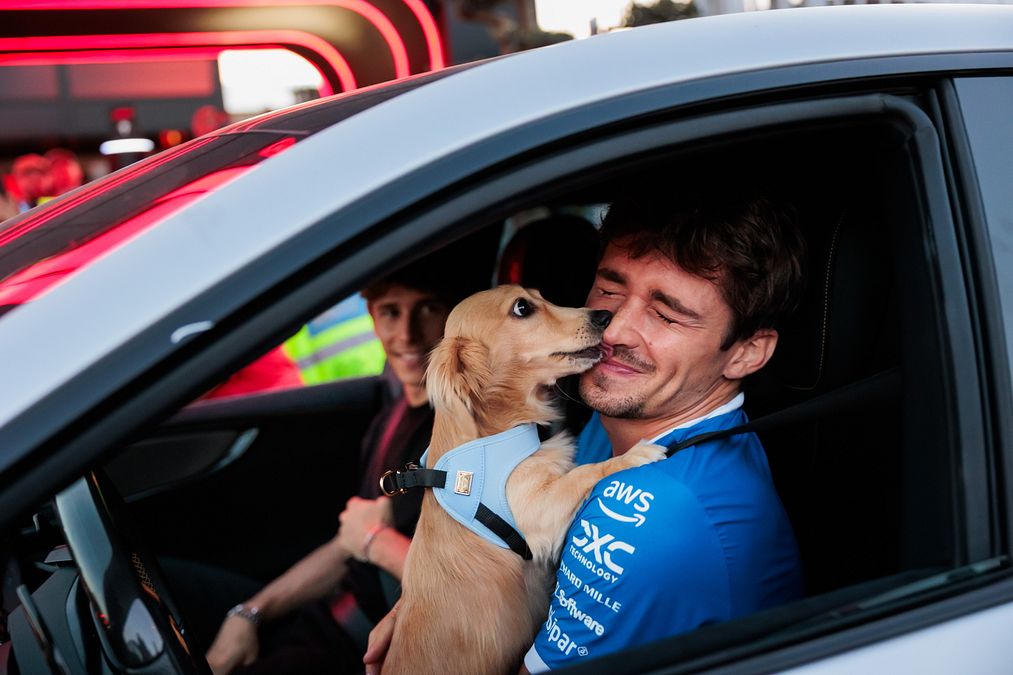 © IPA  | Leo in auto con Charles Leclerc e con la fidanzata del pilota Ferrari Alexandra Saint Mleux nel paddock a Monza