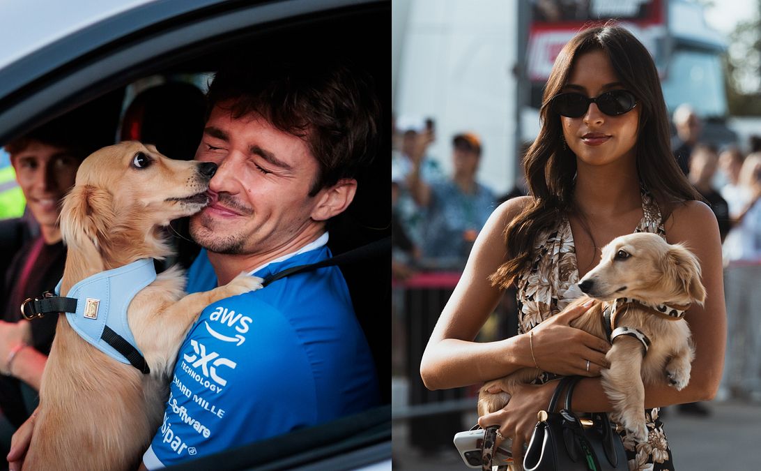 © IPA  | Leo in auto con Charles Leclerc e con la fidanzata del pilota Ferrari Alexandra Saint Mleux nel paddock a Monza