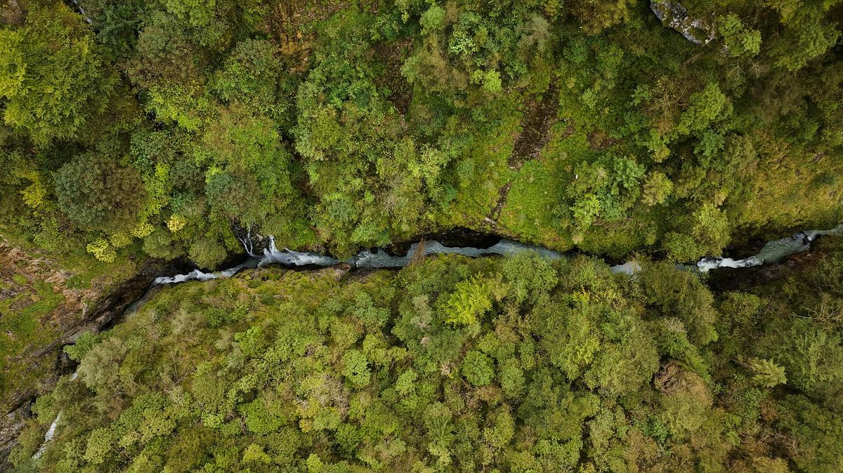 © Ufficio stampa  | Trentino Alto Adige, Valle del Vanoi