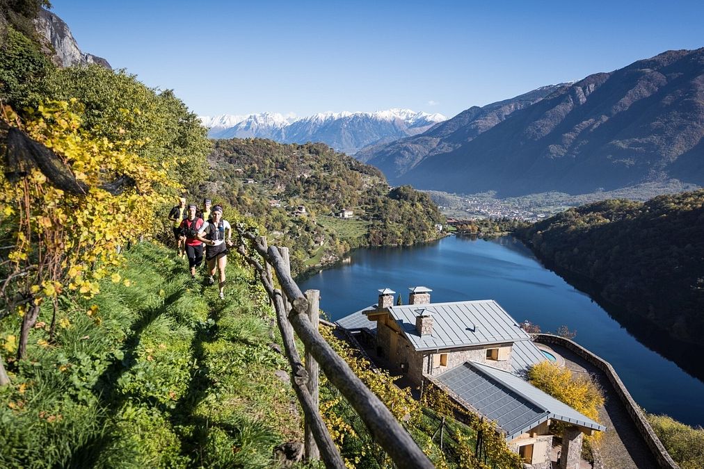© Ente del Turismo  | Consorzio Tutela Lugana Doc