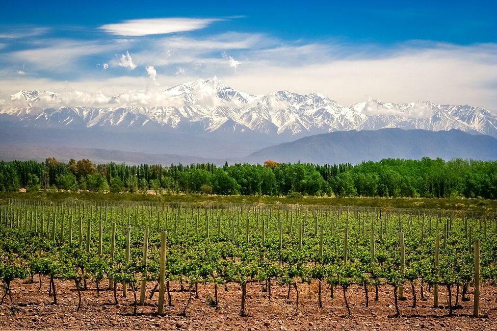© Istockphoto  | Lhasa, Tibet: il vigneto più alto del mondo