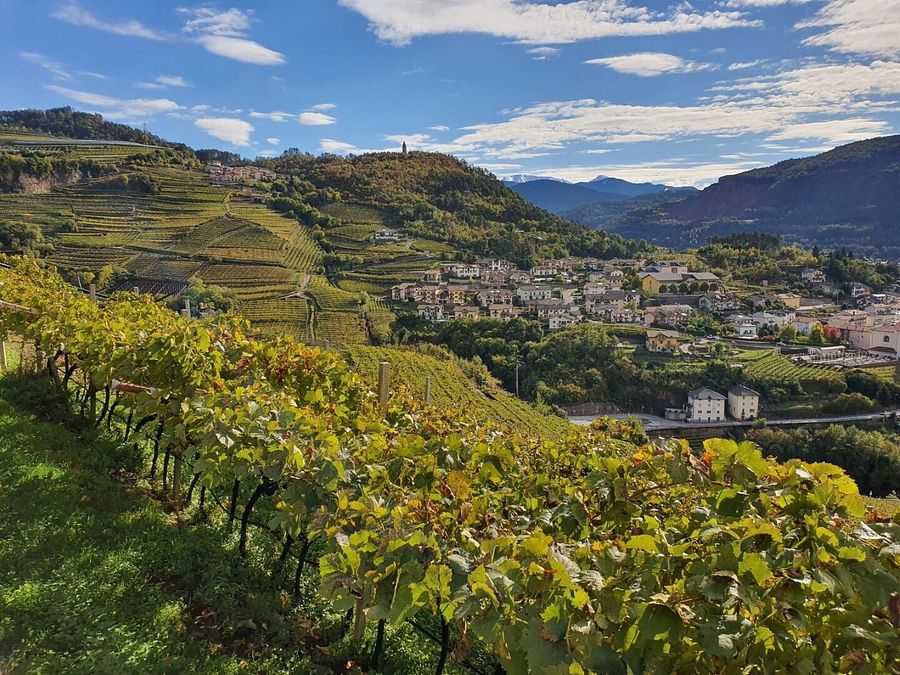 © Ufficio stampa  |  Valle di Cembra - ph Stefania Casagranda