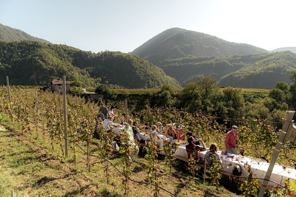 © Ufficio stampa  |  Valle di Cembra - ph Stefania Casagranda