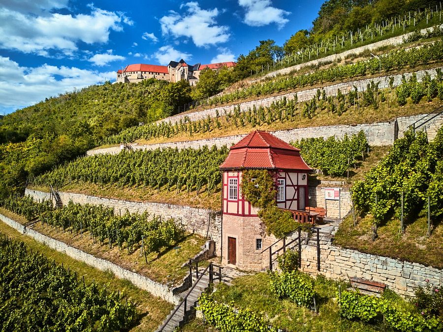 © Ente del Turismo  | Bad Bergzabern - ph Rheinland-Pfalz Tourismus, Florian Trykowski