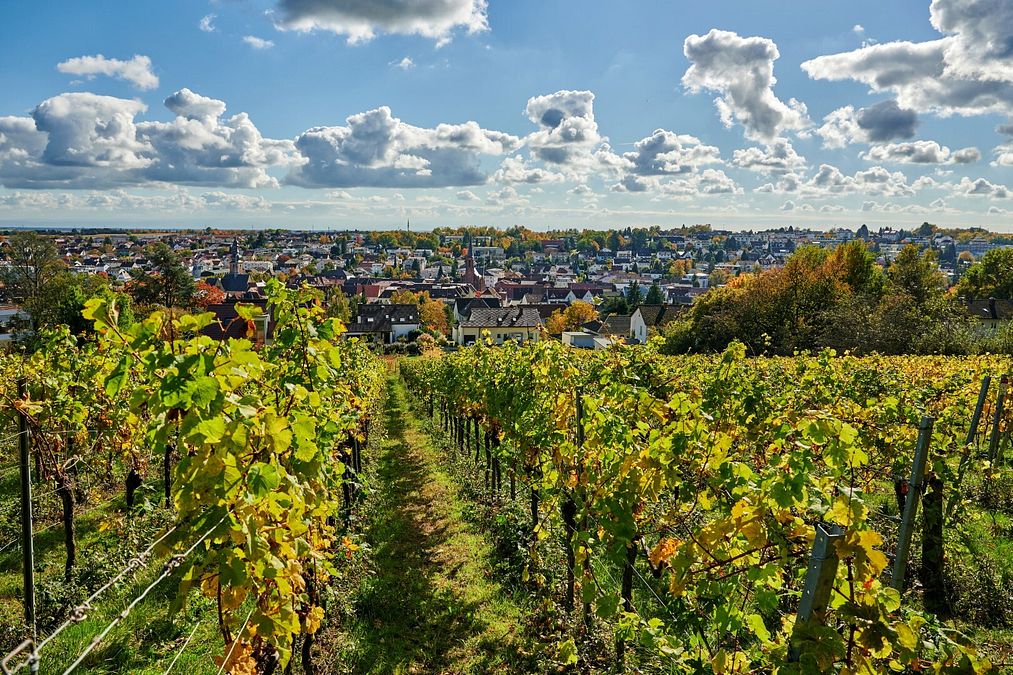 © Ente del Turismo  | Bad Bergzabern - ph Rheinland-Pfalz Tourismus, Florian Trykowski