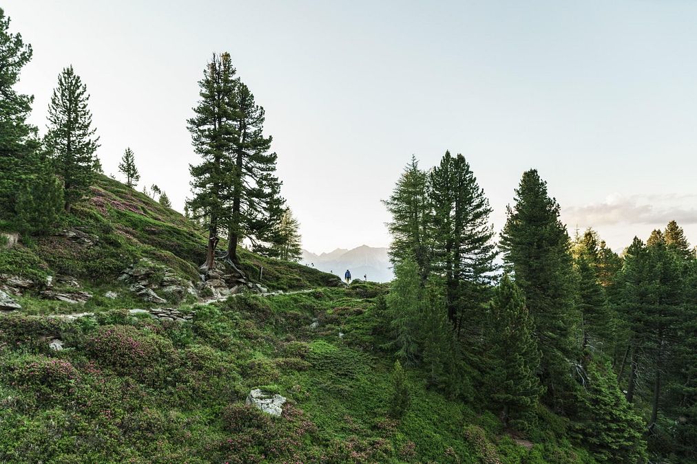 © Ufficio stampa  | Kaisergebirge, tappa numero 1  Sentiero dell'Aquila Foto: Tirol Werbung, Jens Schwarz 