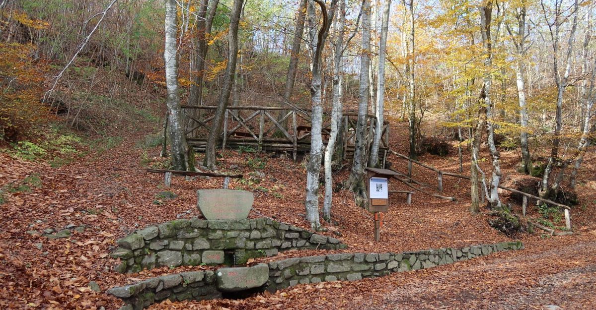 © Ufficio stampa  | Mura di Lucca by R. Giomi 