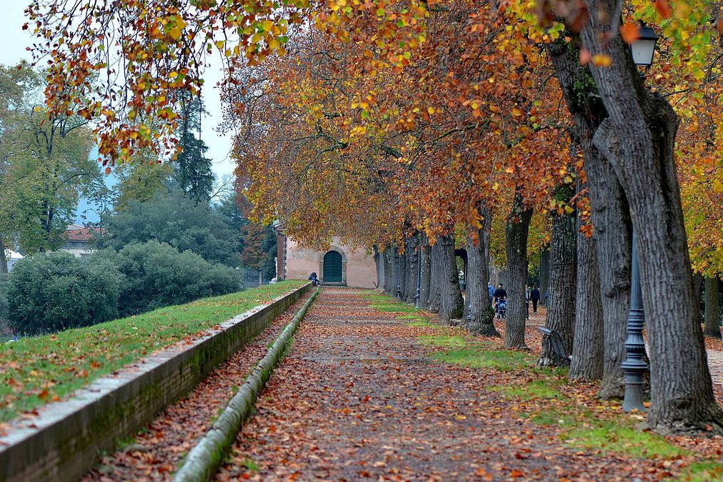 © Ufficio stampa  | Mura di Lucca by R. Giomi 