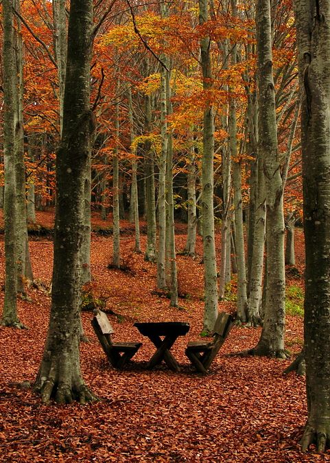 © Ufficio stampa  | Mura di Lucca by R. Giomi 