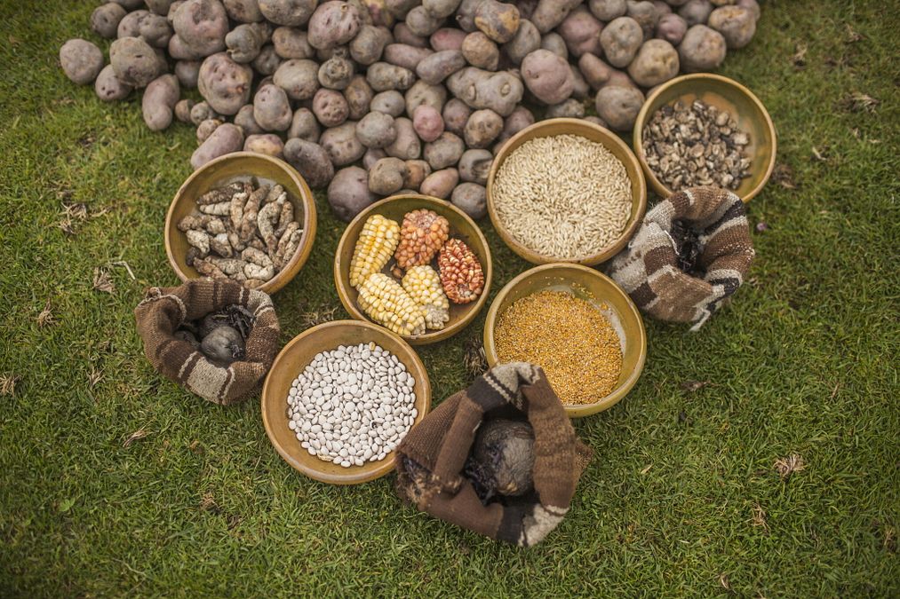 © Istockphoto  | Il sito archeologico di Machu Pichu