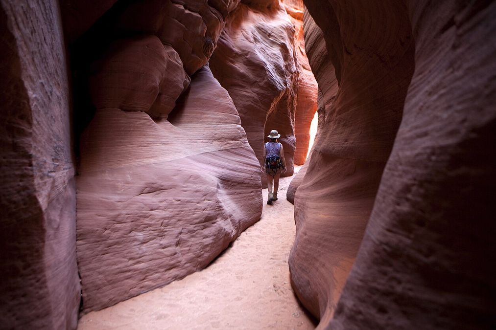 © Istockphoto  | Grand Canyon, Arizona, Stati Uniti 