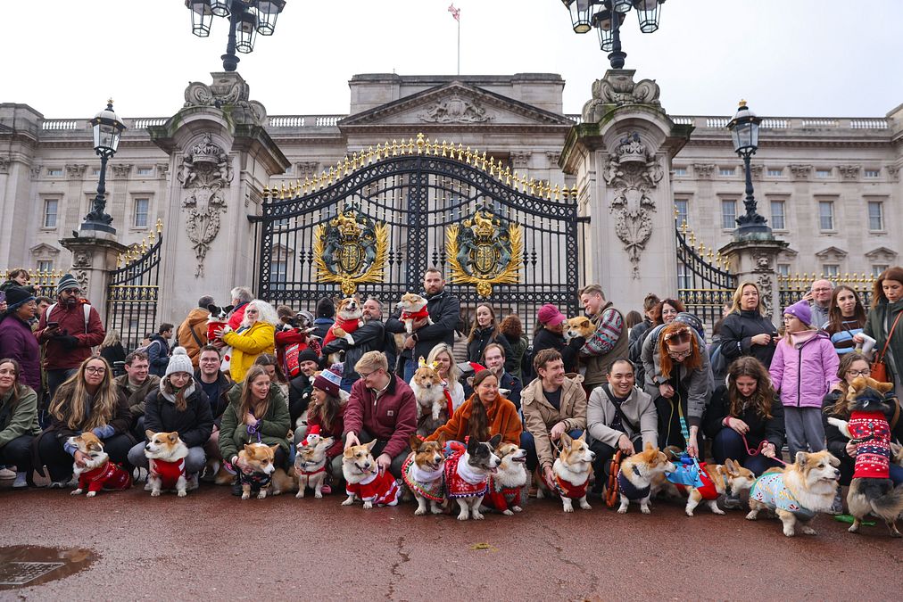 © IPA  | A Londra, davanti a Buckingham Palace, la Christmas Jumper Corgi Parade