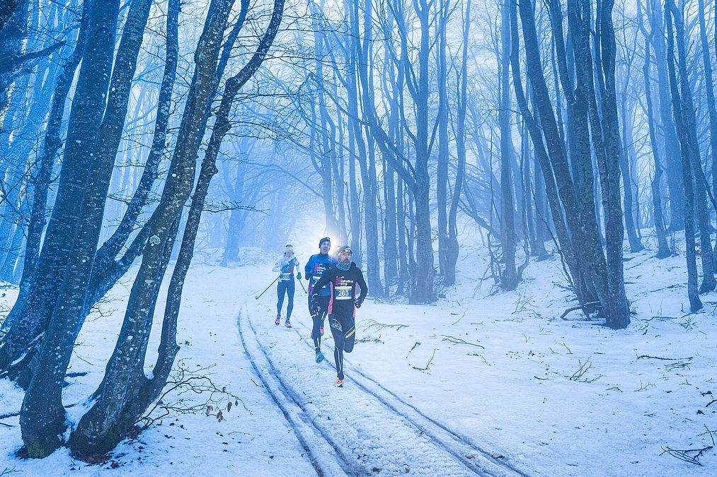 © Giacomo Meneghello 