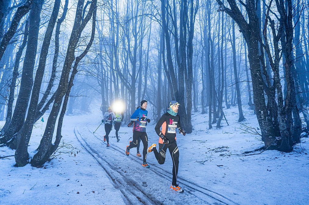 © Giacomo Meneghello 