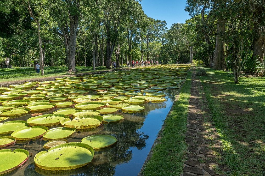 © Istockphoto  | Gardens by the Bay, Singapore