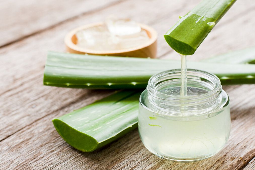 © Istockphoto  | La pianta di aloe vera cresce nei climi caldi e aridi: da noi deve essere tenuta al riparo nei mesi più freddi.