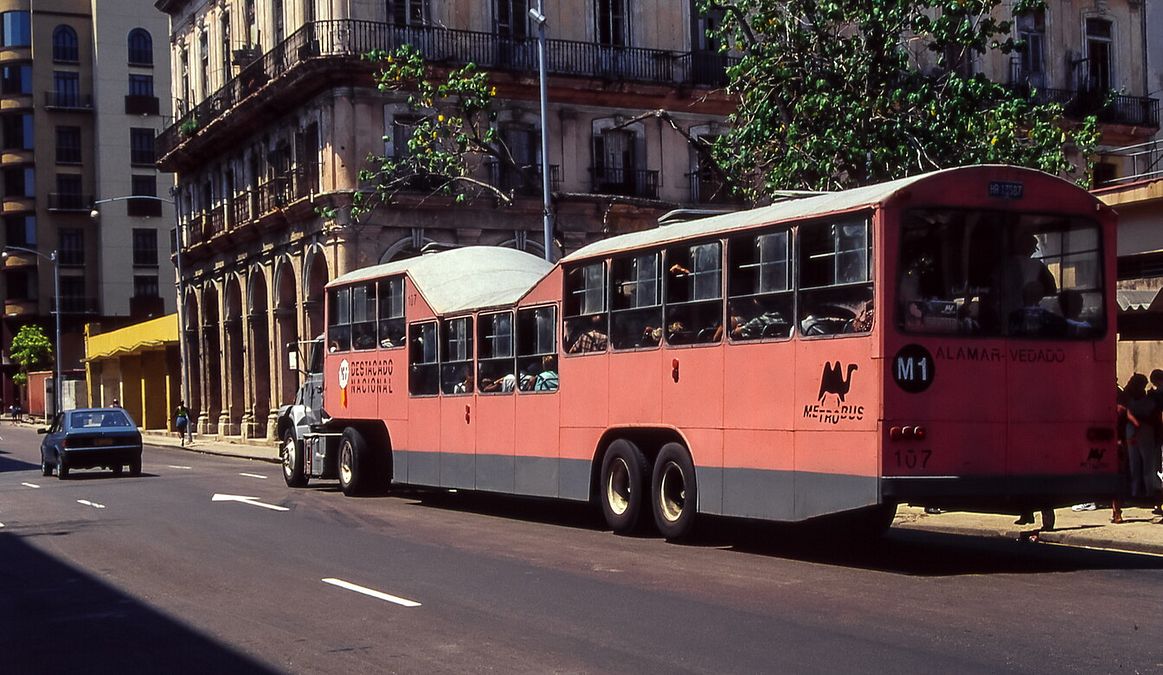 © Istockphoto  |  Camel Bus, L’Avana  