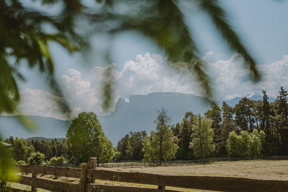 © Ufficio stampa  | Freud Promenade Foto: Tourismusverein Ritten, Achim Meurer
