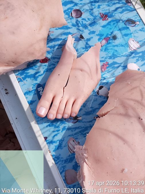 © Legambiente Porto Cesareo ONLUS 