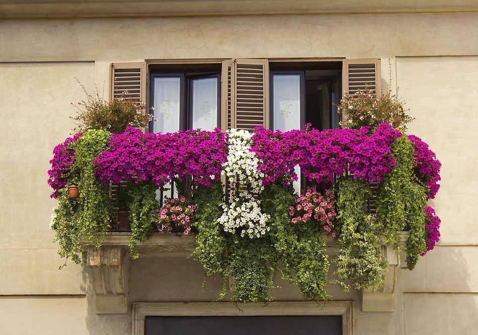 © Istockphoto 