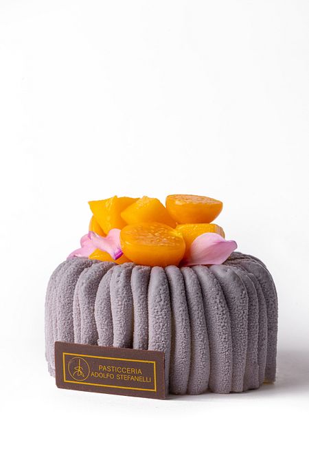 © Ufficio stampa  | Adolfo Stefanelli - Torta Vela