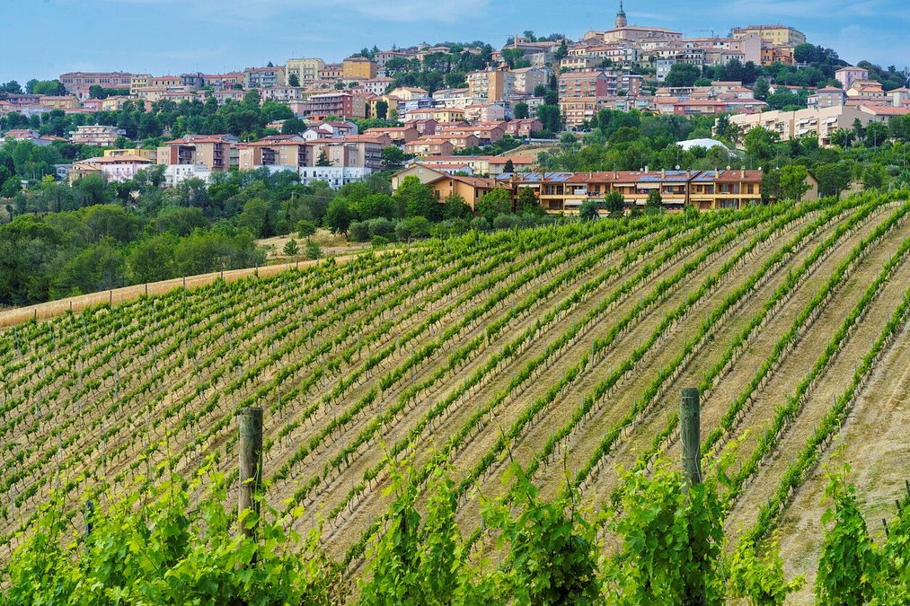 © Istockphoto  | La Riviera del Conero