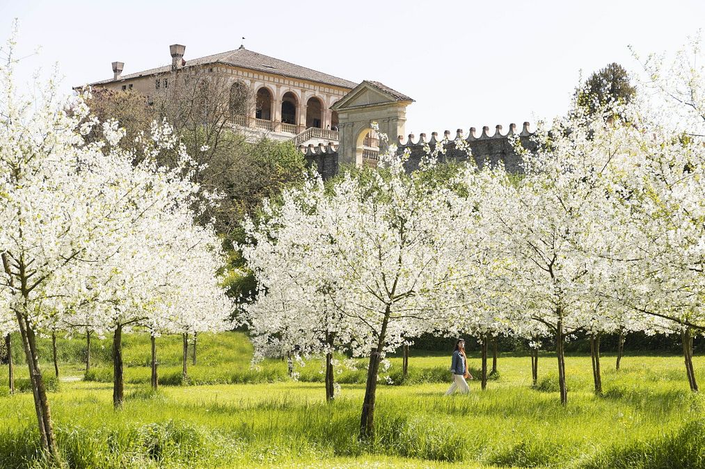 © Ufficio stampa  |   Giardino della Kolymbethra, Parco Valle dei Templi (AG). Foto: Barbara Verduci   (C) FAI