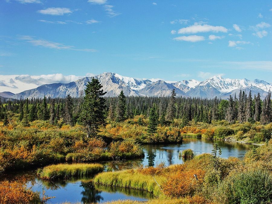 © Istockphoto  | 1 Denali National Park, Alaska (USA)  