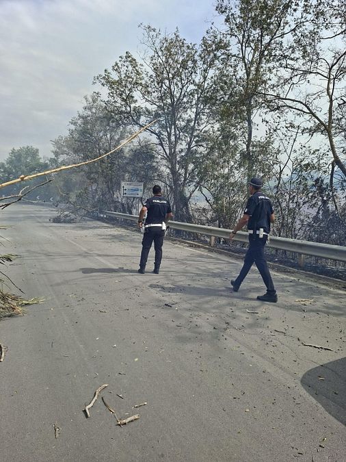 © Ansa  | Incendio in località Pile Fraballe, zona rurale e periferica nel comune di Peschici