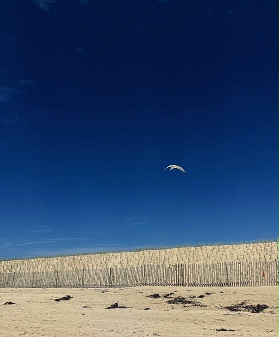 © Instagram 