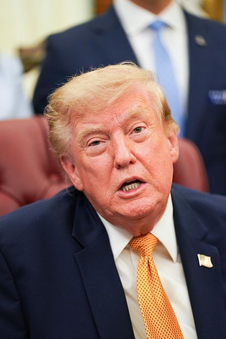 © Ansa  | La "vecchia" capigliatura di Trump
